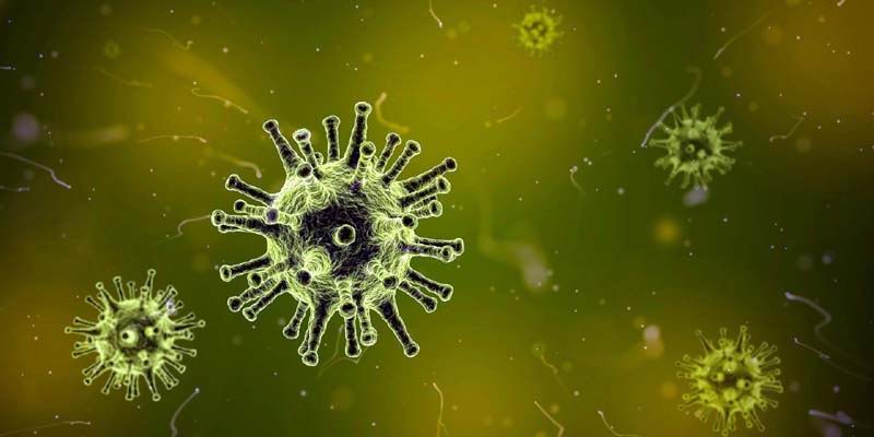 Tentang Virus Corona, Ciri-Ciri dan Cara Mencegahnya