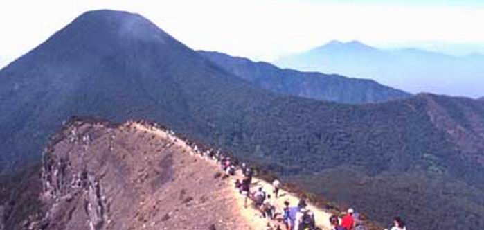 Wisata Taman Nasional Gunung Gede Pangrango