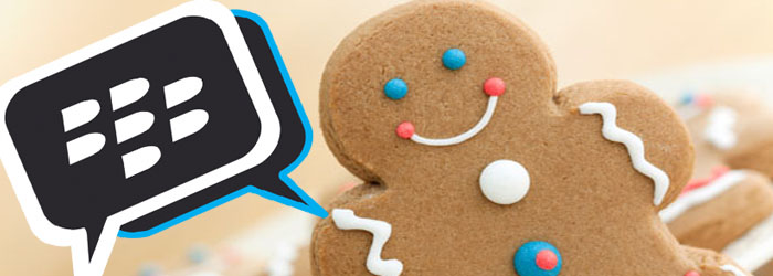 BBM Untuk Android Gingerbread Segera Hadir