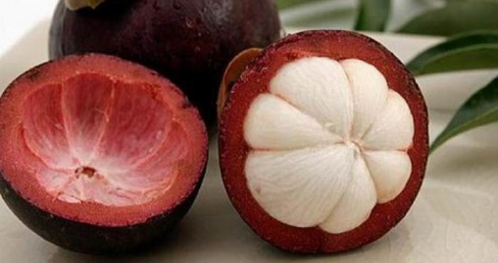 Khasiat Kulit Manggis Bagi Kesehatan Tubuh Anda