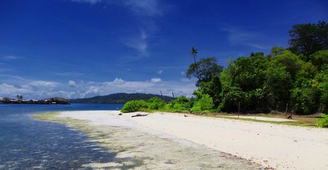 Menjelajah Nuansa Alam Pulau Malenge Sulawesi Tengah