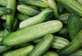 Khasiat Ketimun Untuk Kesehatan