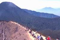 Wisata Taman Nasional Gunung Gede Pangrango