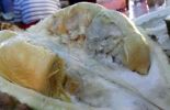 Ucok Durian di Medan