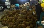 Ucok Durian di Medan