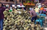 Ucok Durian di Medan