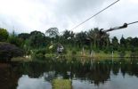 Flying Fox