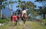 Horse Ride