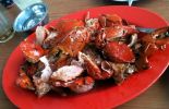 Daftar Menu Rumah Makan Kepiting Saos Kenari di Tarakan