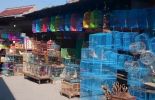 Pasar Splendid di Malang