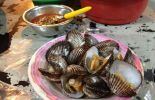 Papa Kerang di Medan