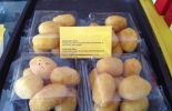 Toko Onde-Onde Putri Bo Liem di Mojokerto