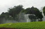 Taman Suropati di Jakarta Pusat
