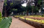 Taman Suropati di Jakarta Pusat