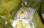 Warung Makan Bu Hj. Salamah di Ceper, Klaten
