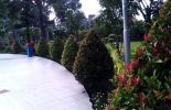 Taman Bungkul di Surabaya