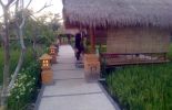 Lesehan Green Asri di Mataram