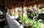 Lesehan Green Asri di Mataram