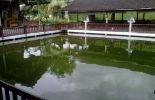 Lesehan Ikan Bakar Klotok di Padangan, Bojonegoro