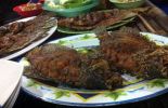 Lesehan Ikan Bakar Klotok di Padangan, Bojonegoro