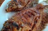Lesehan Ikan Bakar Klotok di Padangan, Bojonegoro