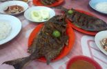 Rumah Makan Taliwang Khas Pak Udin di Mataram