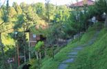 Rumah Pinus 1