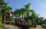 Bukit Daun Hotel di Kediri