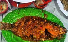 Warung Teras Provinsi Kalimantan Utara
