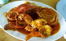 Raja Kepiting Provinsi Banten
