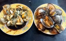 Papa Kerang Provinsi Sumatera Utara