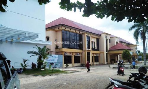 Rumah Sakit Umum Daerah Muara Teweh